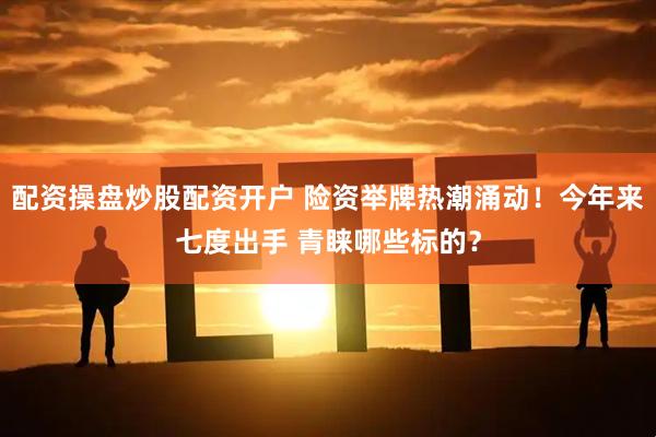 配资操盘炒股配资开户 险资举牌热潮涌动！今年来七度出手 青睐哪些标的？