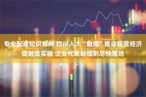 专业配资知识官网 四川人大“组局”推动民营经济促进法实施 企业代表盼细则尽快落地